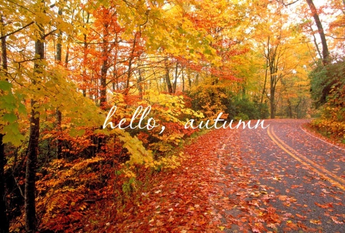 hello autumn!